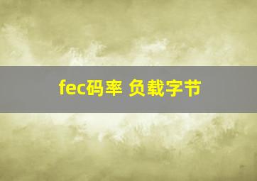 fec码率 负载字节